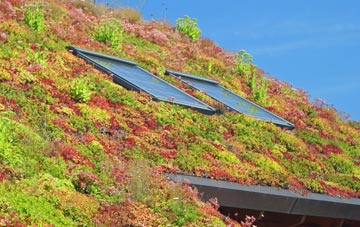 Marske living roof systems